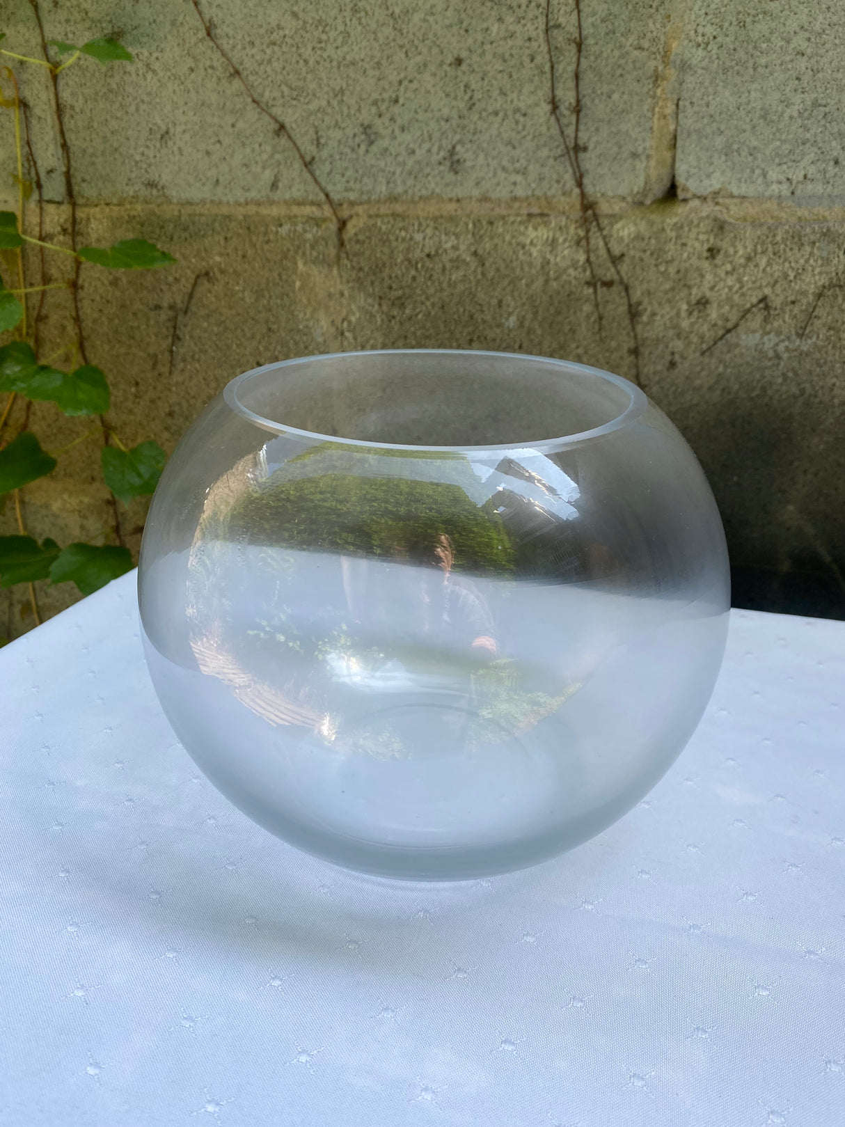 Location- Vase vitre aquarium