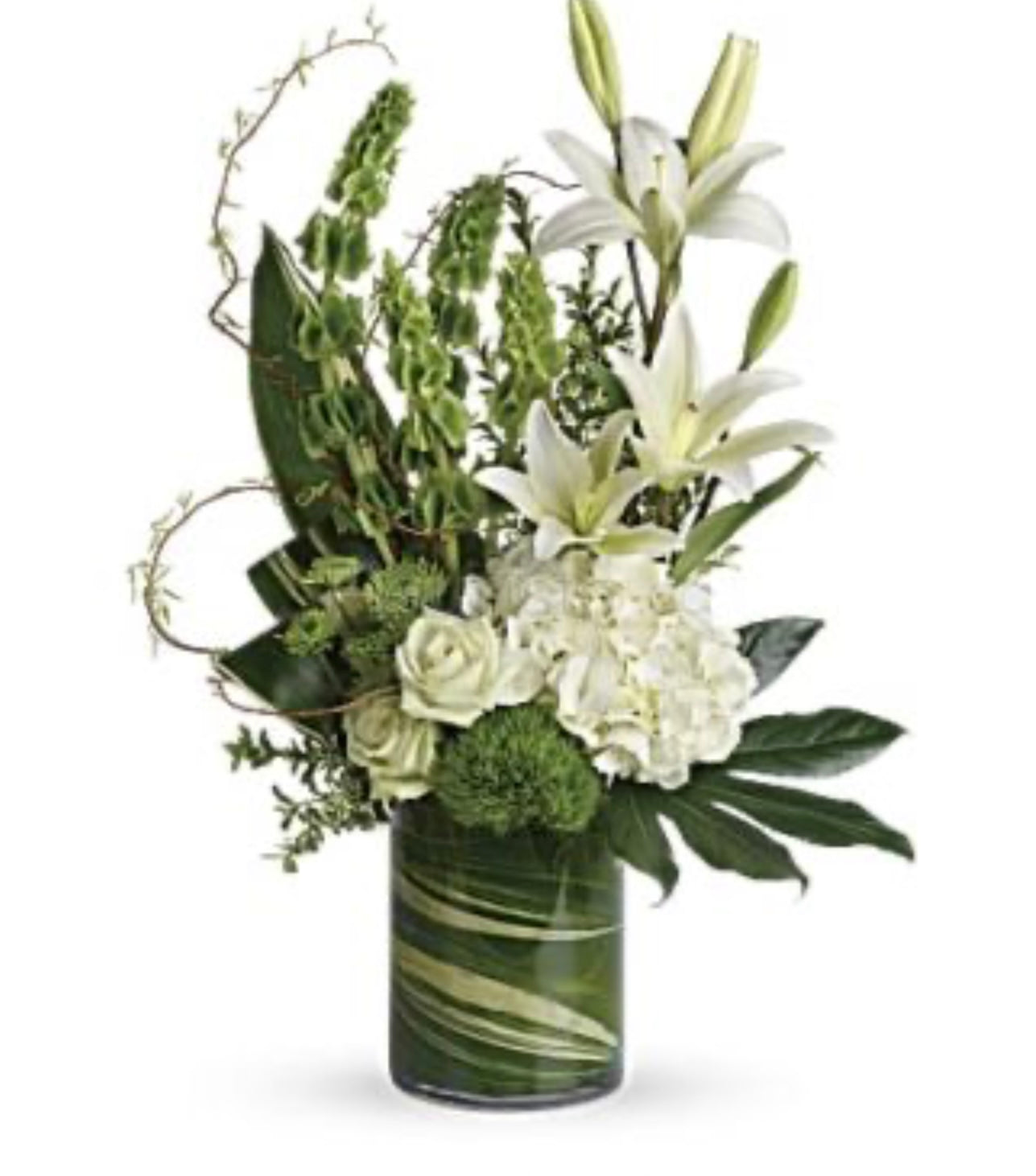 Vase - Beauté botanique
