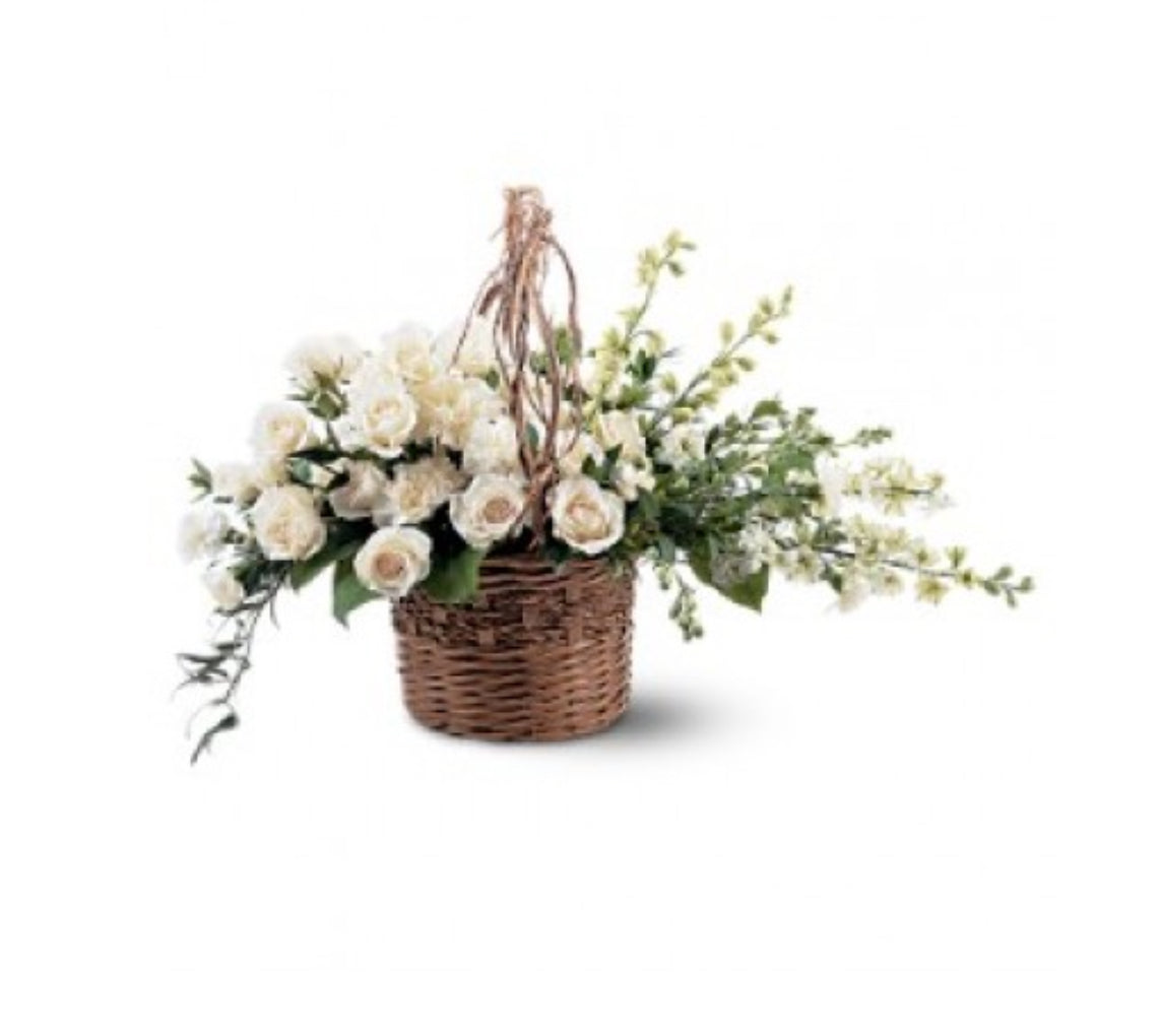 Panier - La Lumière