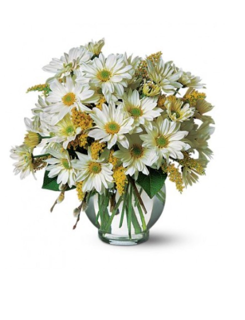Vase - Sourire des marguerites