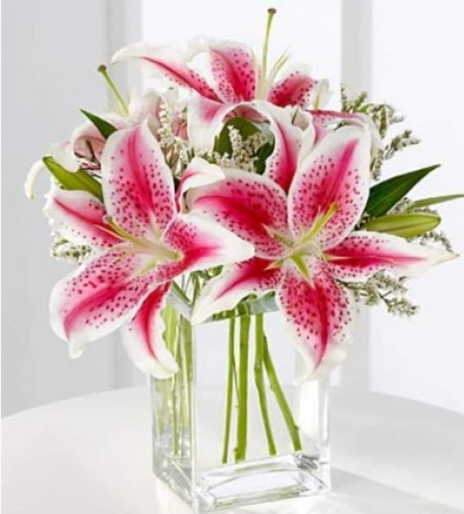 Vase - Lys roses