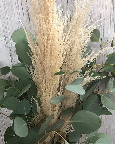 Bouquet - Pampas & Eucalyptus