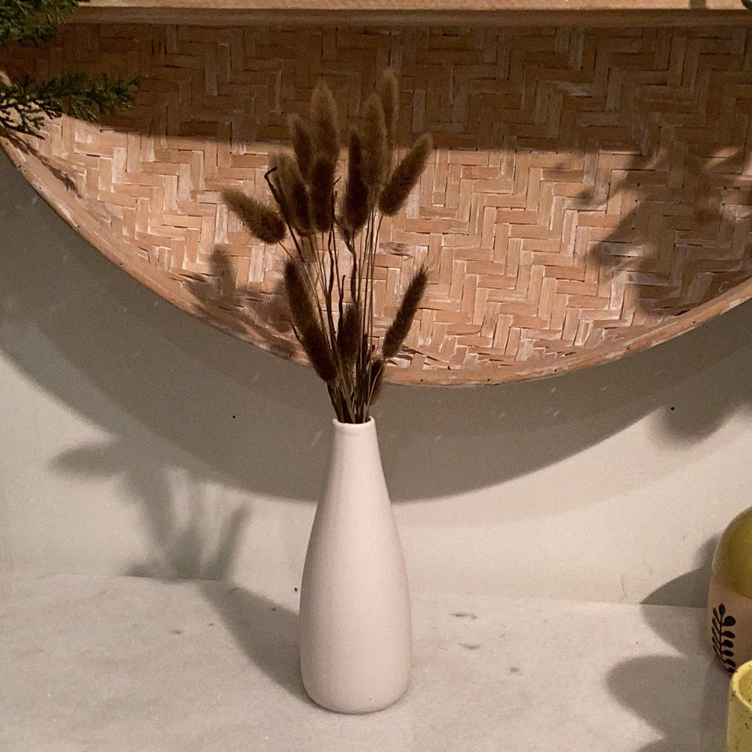 Pampas en pot