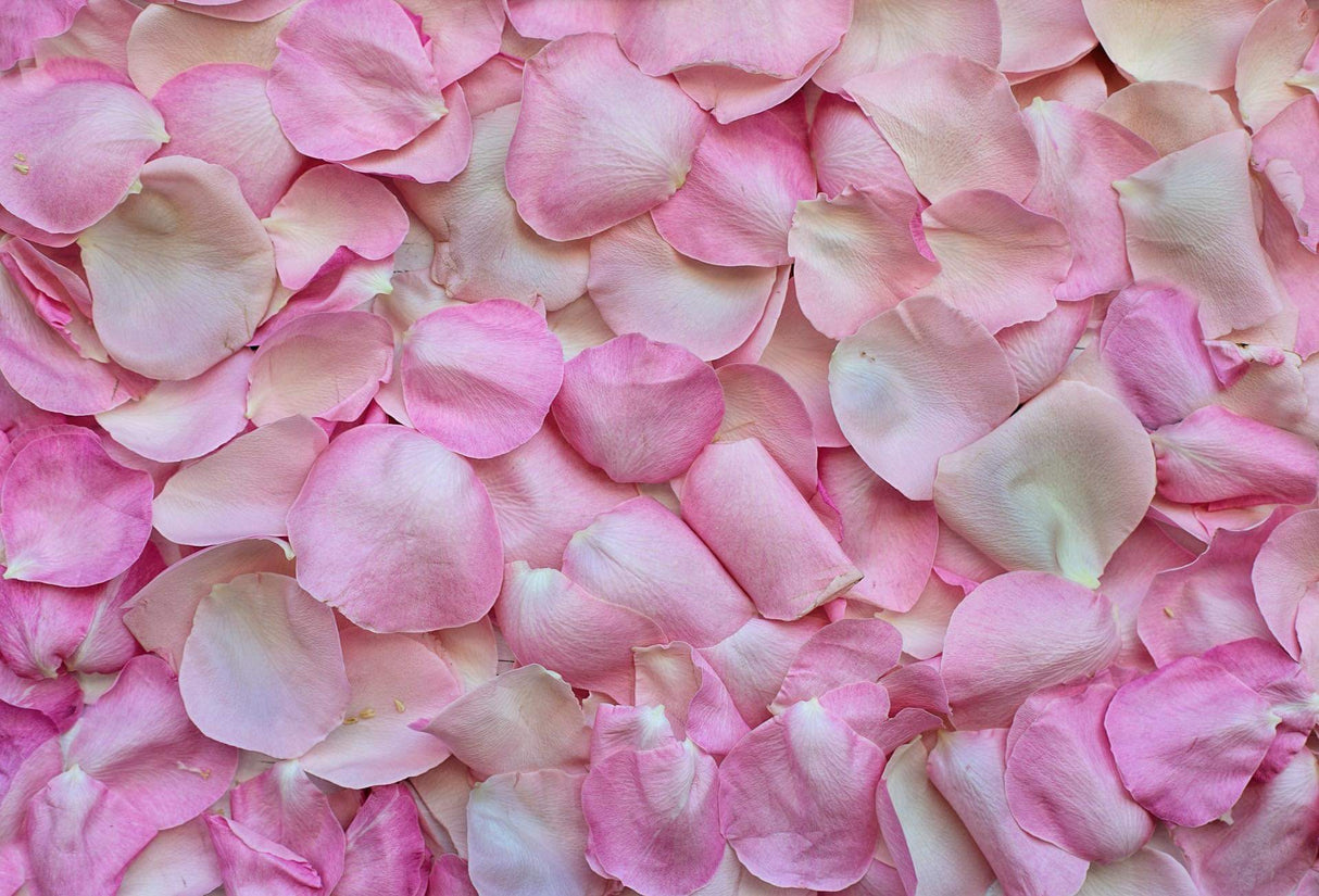 Boites - Pétales de roses