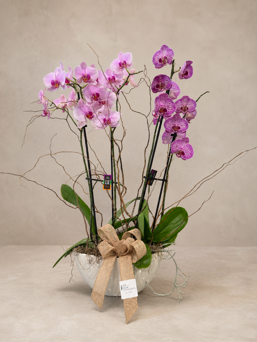 Prestige d’Orchidées