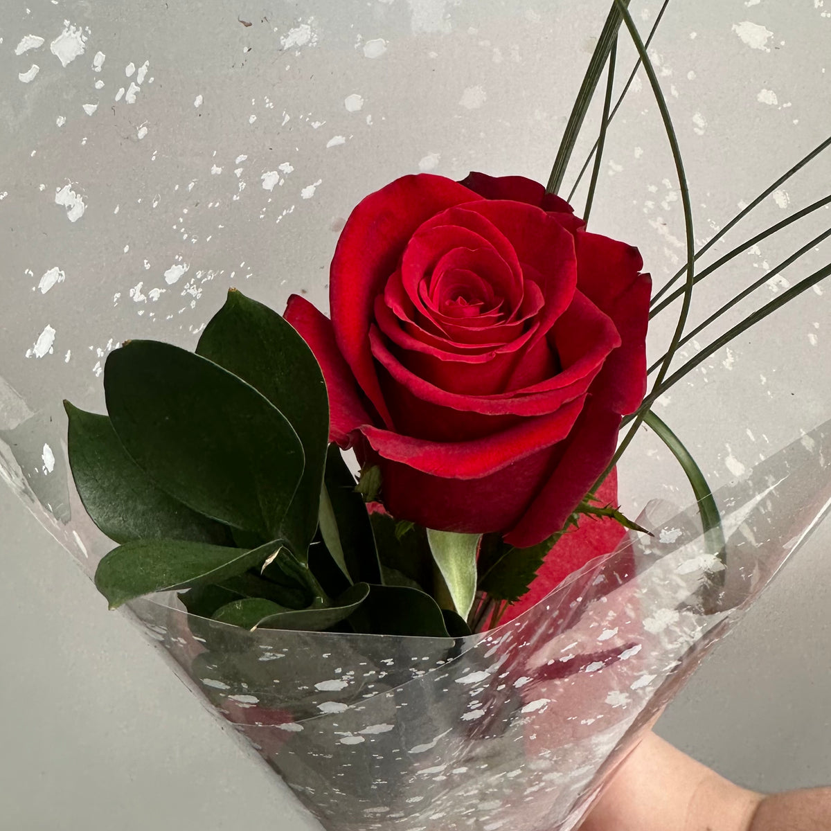 Bouquet - 1 Rose – Rita Fleuriste St-Hyacinthe