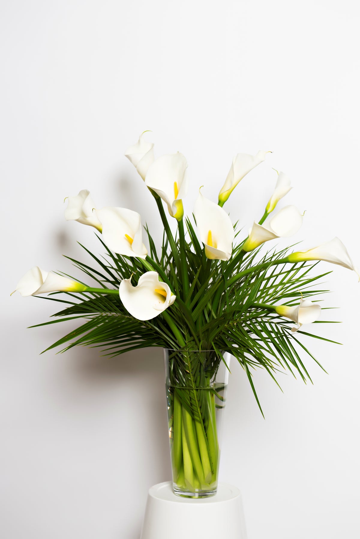 Vase - Harmonie de Callas